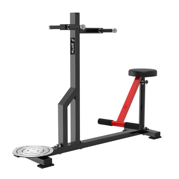 Rotação de Tronco - TM Series