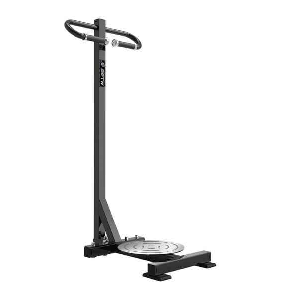 Rotação de Tronco em Pé - TM Series